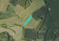 Prodej pozemku 19 593 m2, zem�d�lsk� p�da, Chlumy (okres Plze�-jih)
