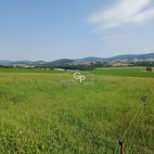 Prodej pozemku , zem�d�lsk� p�da, Holubov, Kraset�n (okres �esk� Krumlov)