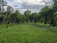 Pron�jem pozemku 2 265 m2, zahrada, Brno, Sadov� (okres Brno-m�sto)