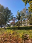 Pron�jem bytu 2+1, 0 m2, OV, N�m칻 nad Oslavou (okres T�eb��), ul. Husova