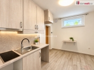 Pron�jem bytu 1+1, 30 m2, OV, Mikulov (okres B�eclav), ul. Z�meck�
