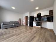 Pron�jem bytu 1+kk, 0 m2, OV, �esk� Brod (okres Kol�n), ul. Kounick�