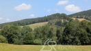 PXL_20260716_091345671.MP.jpg