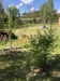 IMG_0142.jpeg