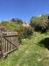 IMG_0125.jpeg