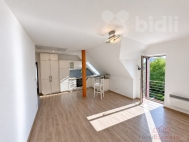 Pron�jem bytu 2+kk, 58 m2, OV, Plze�, �ernice (okres Plze�-m�sto), ul. Vesk�
