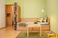 Prodej bytu 3+1, 157 m2, OV, Brno, �idenice (okres Brno-m�sto)