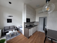 Pron�jem bytu 1+kk, 31 m2, OV, Brno, �ern� Pole (okres Brno-m�sto), ul. Koli�t�