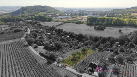 dron _ zahrada _ Mikulov _ 2 _ U.jpg