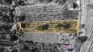 dron _ zahrada _ Mikulov _ 9 _ U.jpg
