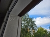 20260916_110718.jpg