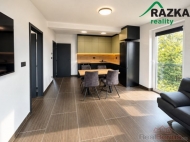 Pron�jem bytu 2+kk, 0 m2, OV, Ko�ov (okres Tachov)