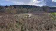 Prodej pozemku , určený k výstavbě RD, Kynšperk nad Ohří, Zlatá (okres Sokolov)