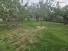 20260913_104903.jpg