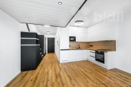 Pron�jem bytu 1+kk, 46 m2, OV, Plze�, Lobzy (okres Plze�-m�sto), ul. T��nsk�