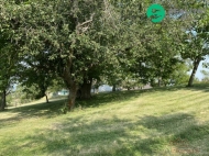 Prodej pozemku , ur�en� k v�stavb� RD, Petrovice (okres Rakovn�k)