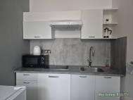 Pron�jem bytu 1+1, 40 m2, OV, Praha 8, Karl�n, ul. K�i��kova