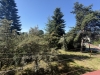 IMG_6388.jpeg