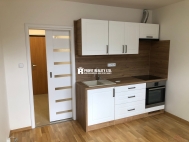 Pron�jem bytu 1+kk, 20 m2, OV, Praha 4, Kr�, ul. �t�rova