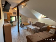 Pron�jem bytu 1+kk, 42 m2, OV, Holubice (okres Vy�kov)