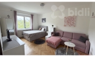 Prodej bytu 1+1, 40 m2, OV, �st� nad Labem, St�ekov, ul. St�ekovsk� n�b�e�� - exkluzivn�
