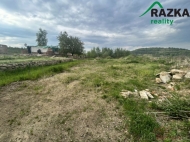 Prodej pozemku , ur�en� pro komer�n� v�stavbu, Lestkov, Domaslav (okres Tachov)