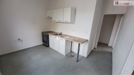 Pron�jem bytu 2+1, 55 m2, OV, �st� nad Labem, St�ekov, ul. Na Pile