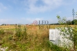 1S4A6733.jpg