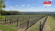 Prodej pozemku , zvl�tn�, Nov� �aldorf-Sedle�ovice (okres Znojmo)