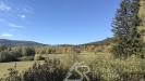 IMG_2306.jpeg