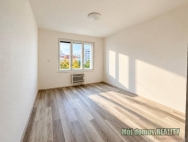 Pron�jem bytu 2+1, 57 m2, DV, Praha 6, Dejvice, ul. Zem�d�lsk�