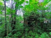 IMG_20260814_184758.jpg