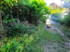 IMG_20260814_185152.jpg