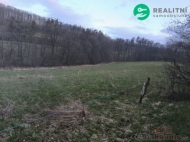 Prodej pozemku 7 800 m2, zahrada, Nov� Ji��n