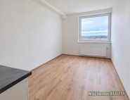 Pron�jem bytu 1+kk, 20 m2, OV, Praha 6, B�evnov, ul. Na b�evnovsk� pl�ni