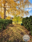 Pron�jem bytu 1+kk, 31 m2, DV, Hostivice (okres Praha-z�pad), ul. Zimn�