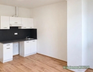 Pron�jem bytu 1+kk, 22 m2, OV, Praha 6, B�evnov, ul. Na b�evnovsk� pl�ni