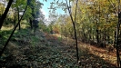 20261020_134713.jpg