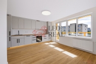 Pron�jem bytu 4+kk, 0 m2, OV, Praha 4, Z�b�hlice, ul. Svoj�ovick�