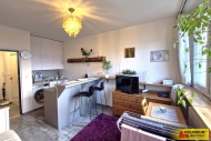 Prodej bytu 1+kk, 23 m2, OV, Brno, Lesn� (okres Brno-m�sto)