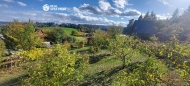 Prodej rekrea�n�ho objektu, Velk� Opatovice (okres Blansko)