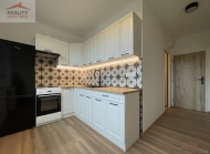 Pron�jem bytu 1+1, 0 m2, OV, Vala�sk� Mezi����, Podles� (okres Vset�n)